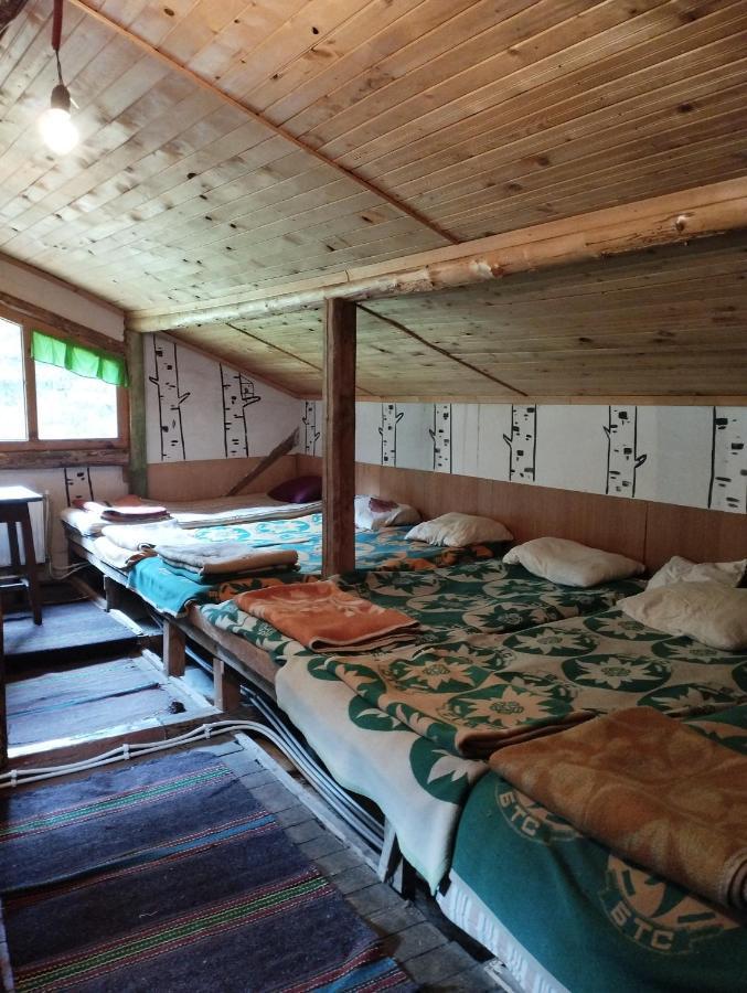 Хижа Ловна В Рила Panichishte Exterior photo